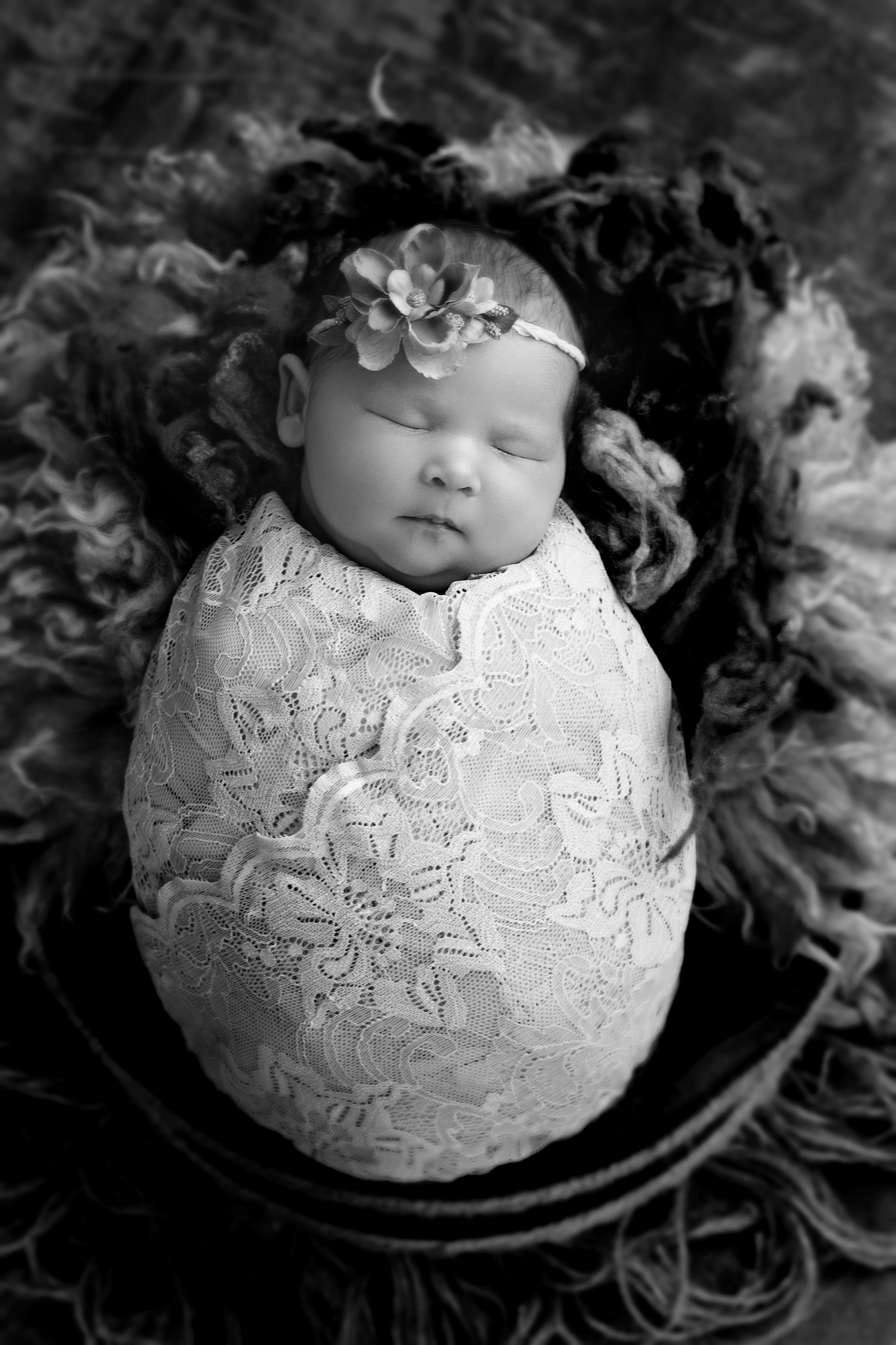 DSC_4537 F BW